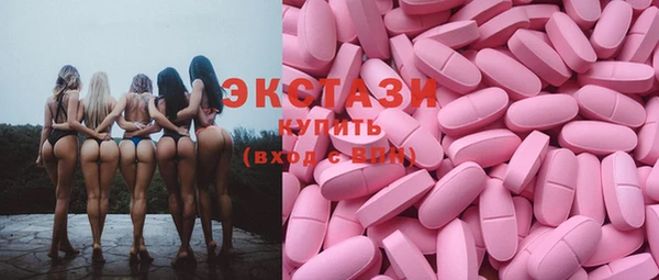 ECSTASY Богородицк