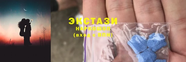 ECSTASY Богородицк